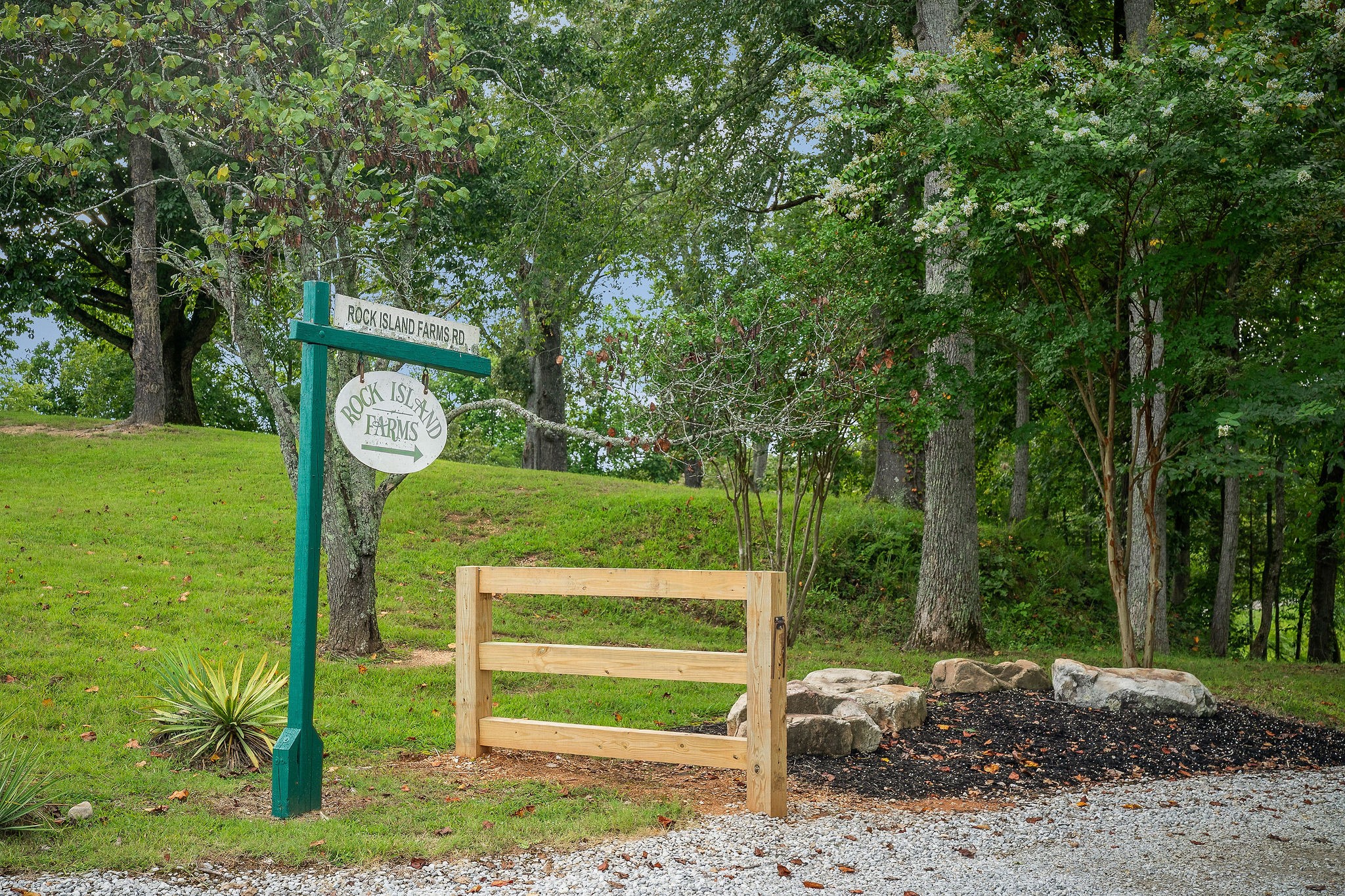 4042 Rocky Ridge Road Doyle, TN 38559 - Photo 80 of 85 a view of a park with large trees