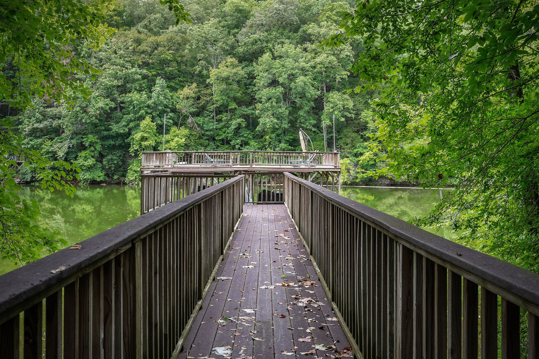 4042 Rocky Ridge Road Doyle, TN 38559 - Photo 85 of 85