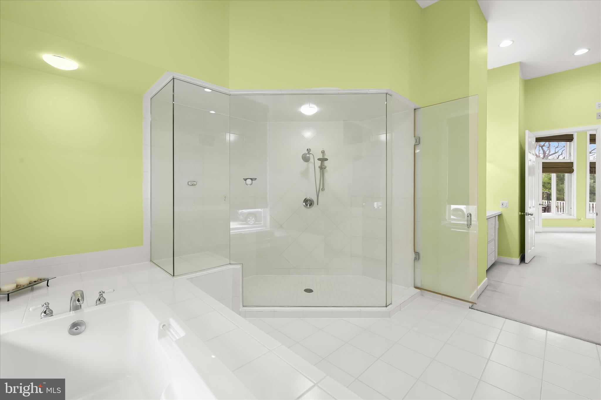 11678 Frederick Road Ellicott City, MD 21042 - Photo 33 of 118 Walk-in Steam Shower