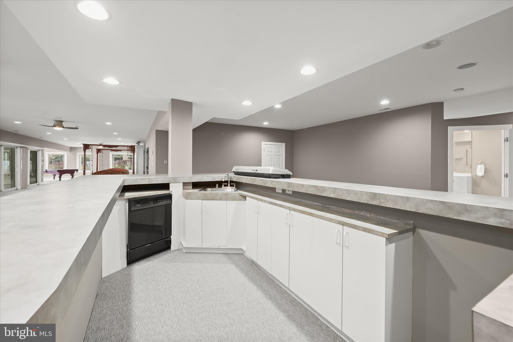 11678 Frederick Road Ellicott City, MD 21042 - Photo 80 of 118 Wet Bar With Sink and DW