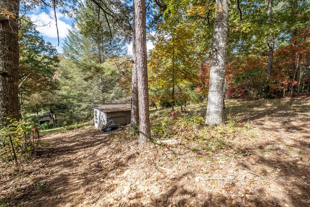 171 Caney Creek Road Murphy, NC 28906 - Photo 47 of 60