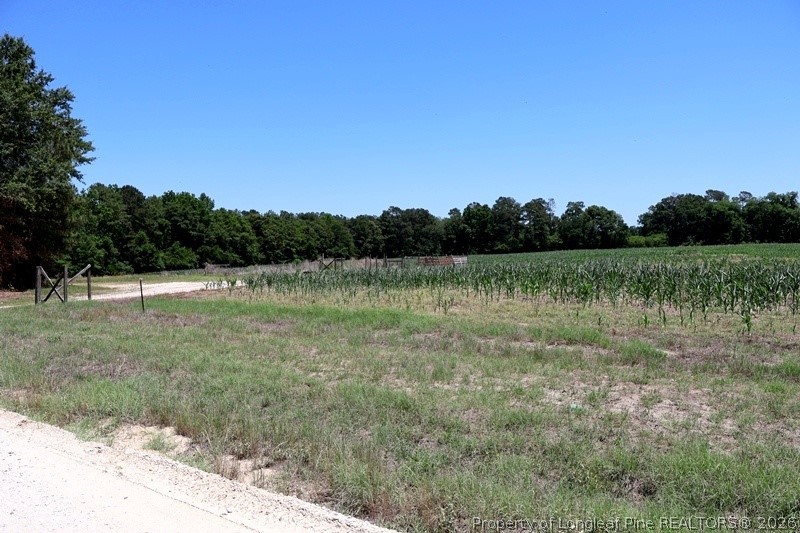 Sand Rock Road Fairmont, NC 28340 - Photo 13 of 16