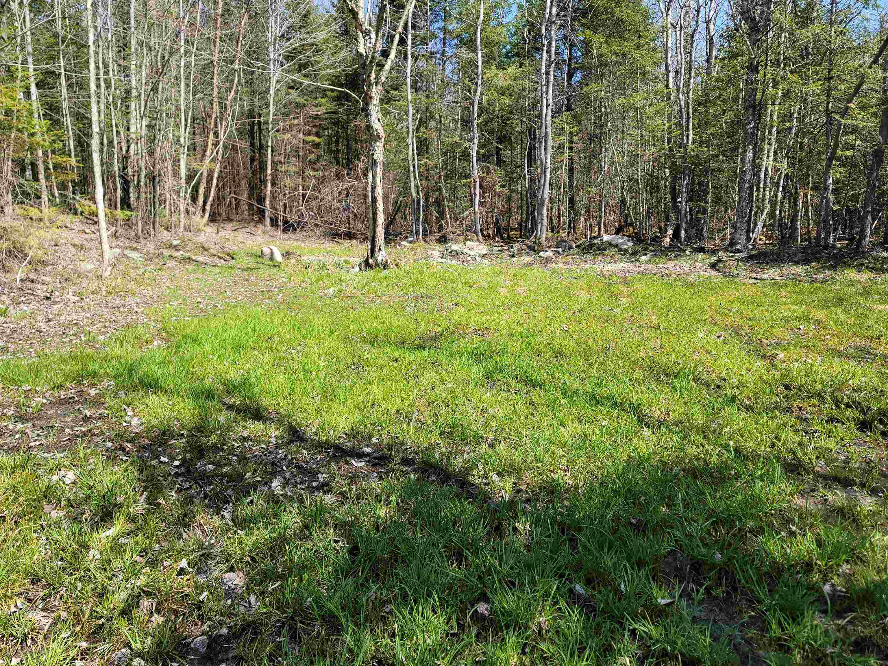 355 Marshall Hill Road Columbia, NH 03576 - Photo 35 of 40 Gallery Image 35