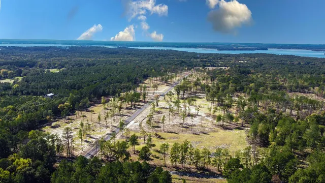 a view of an ocean from a yard