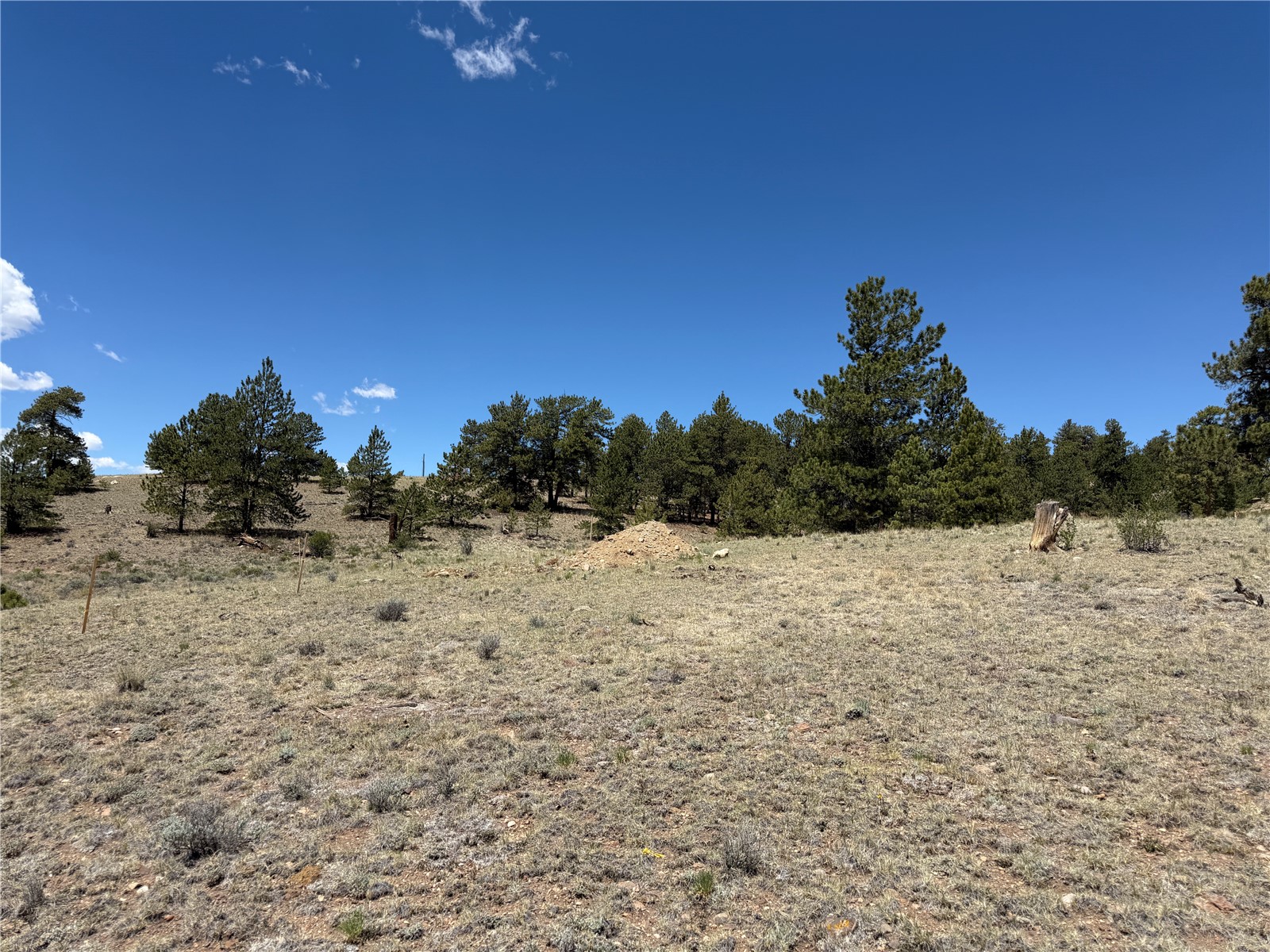 595 Bridle Path Hartsel, CO 80449 - Photo 22 of 23