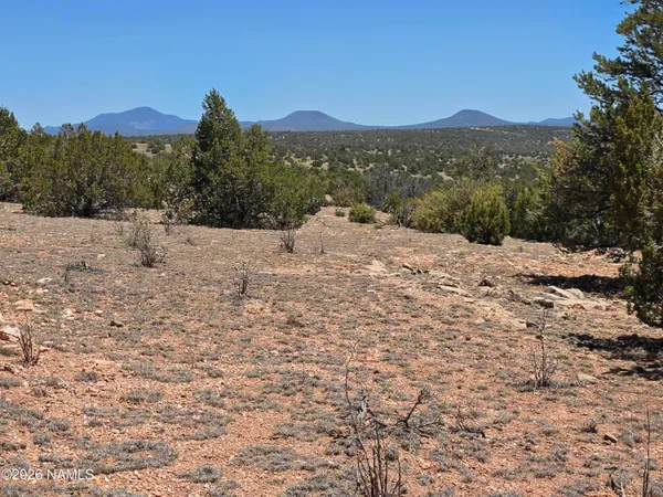 $59,000 | 9966 Northstar Road, Williams, AZ 86046