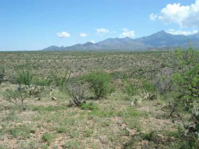 57 Camino Nacozari Rio Rico, AZ 85648 - Photo 8 of 9