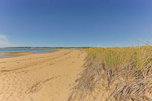 a view of an ocean beach