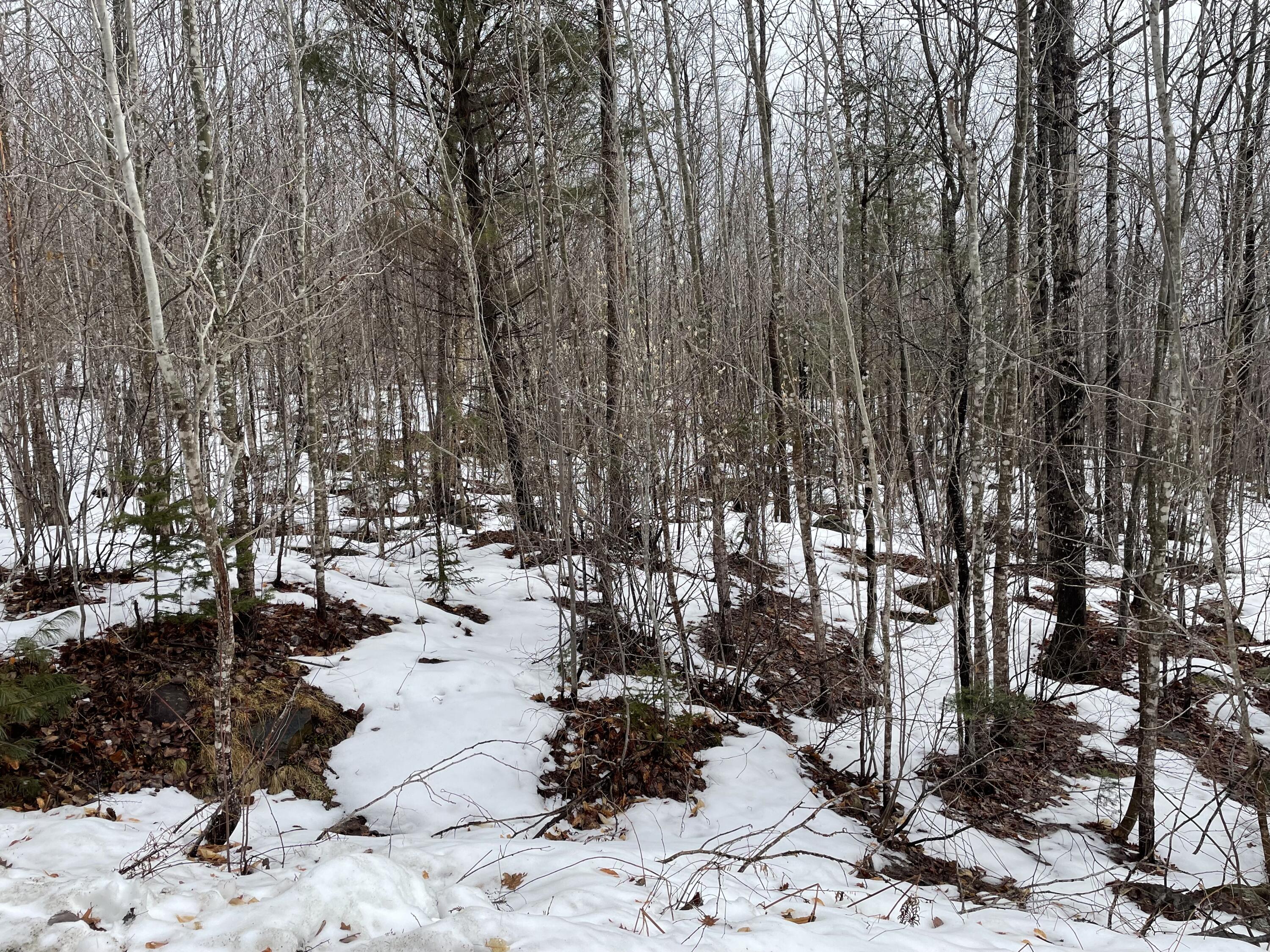 2 Mooseley Ridge Road Phillips, ME 04966 - Photo 7 of 12 IMG_0883