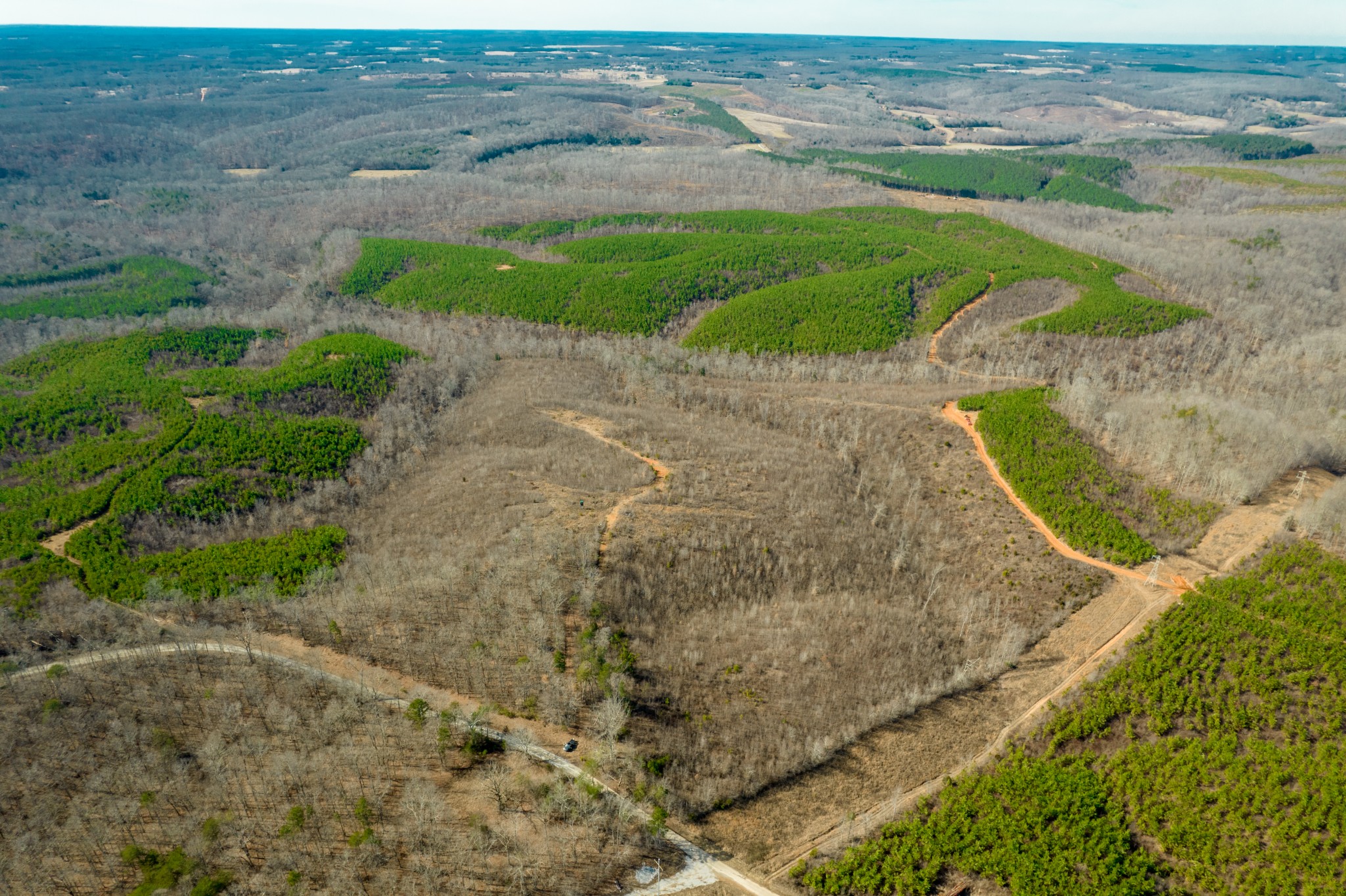0 State Line Road Iron City, TN 38463 - Photo 6 of 7 Gallery Image 6