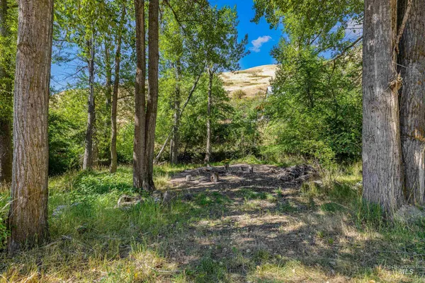 $1,600,000 | 192 East Shingle Creek Road, Riggins, ID 83549