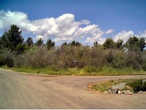 17002 East Bob White Road Spring Valley, AZ 86333 - Photo 1 of 1 a view of a yard