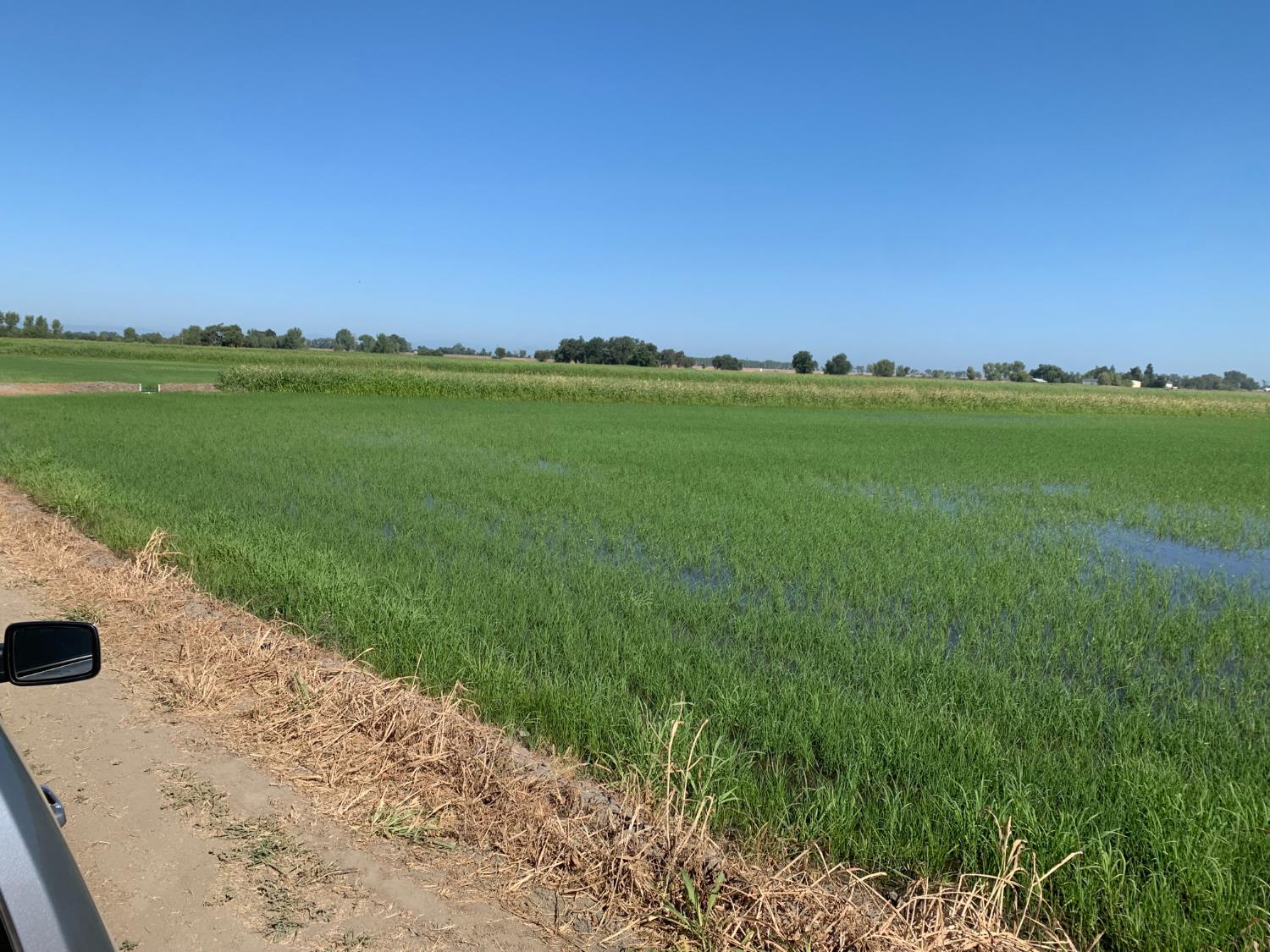 0 10658 Fasig Road Meridian, CA 95957 - Photo 2 of 11