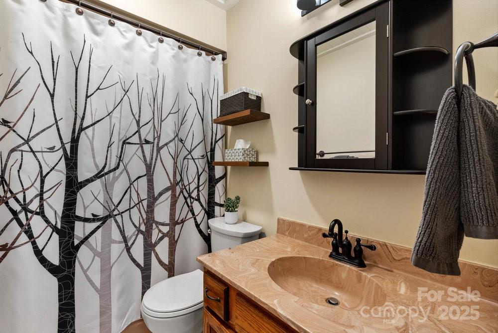 83 Lovers Loop Road Asheville, NC 28803 - Photo 30 of 44 a bathroom with a sink toilet and mirror