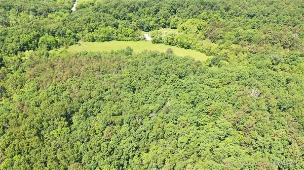 $45,000 | 1394 Parcel B) County Road 6580, Salem, MO 65560