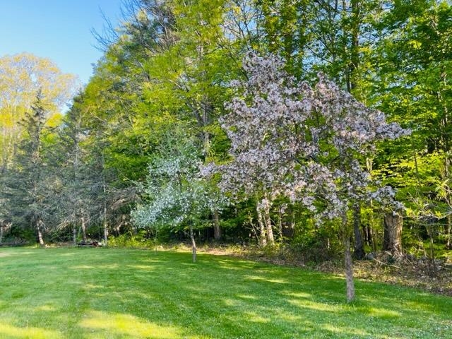 59 Bow Lake Road Northwood, NH 03261 - Photo 29 of 29