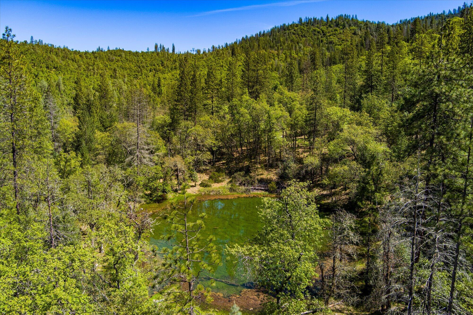 6691 Reading Creek Road Douglas City, CA 96024 - Photo 81 of 101 081-6691 Reading Creek-379