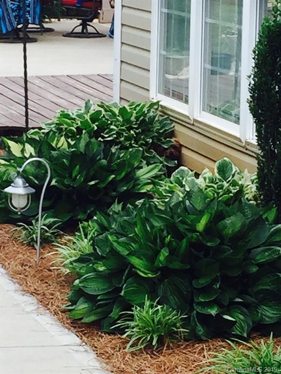 2622 Gradys Ground Road McConnells, SC 29726 - Photo 21 of 22 Gallery Image 21