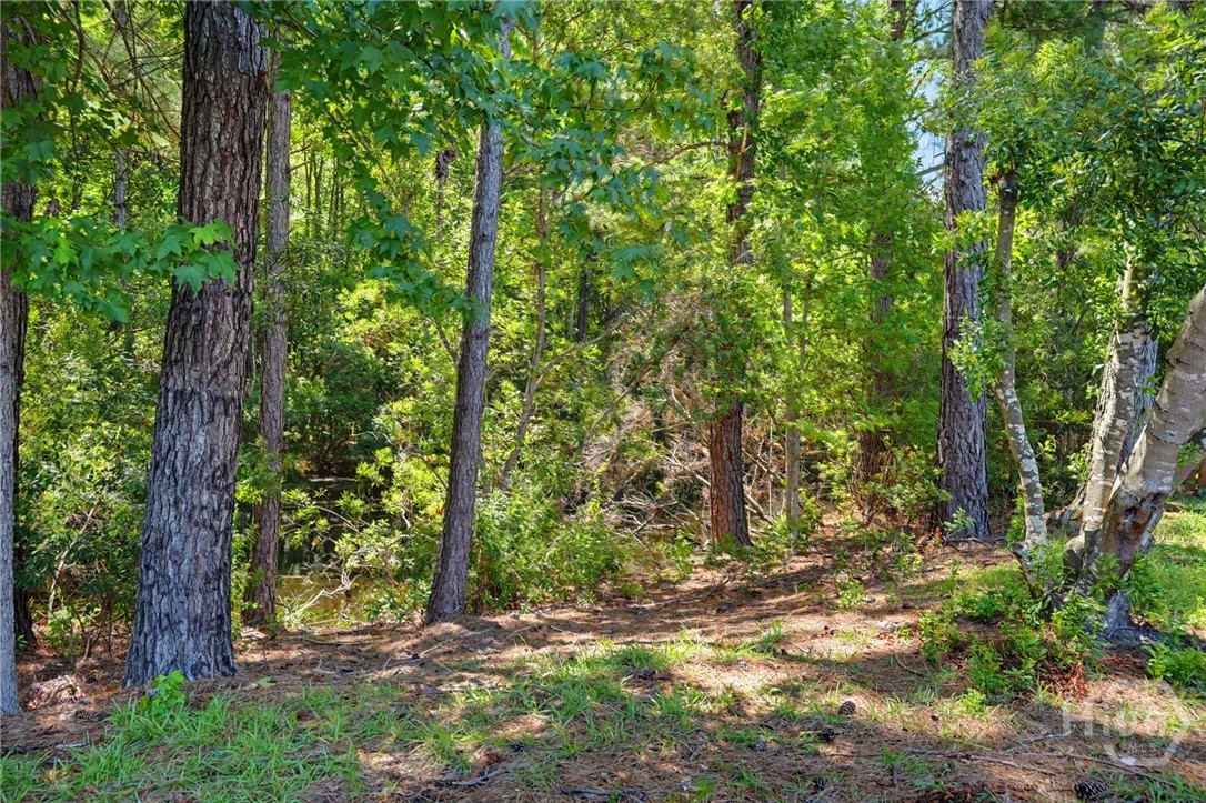 123 Bluelake Boulevard Pooler, GA 31322 - Photo 30 of 31