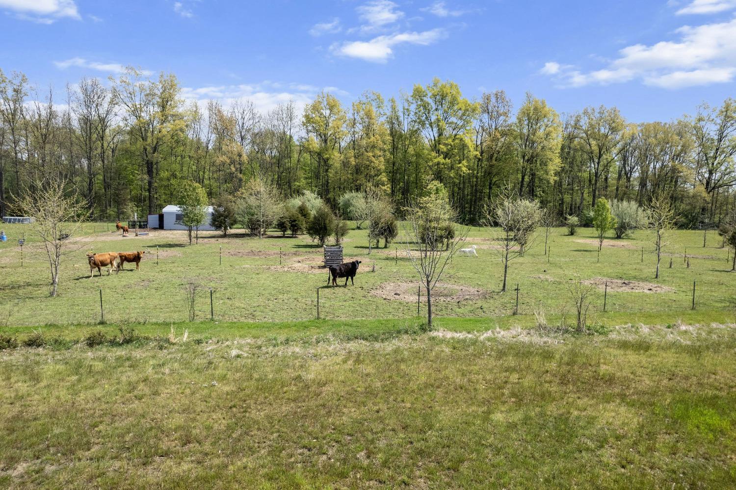 6866 Johnson Road Blanchester, OH 45107 - Photo 37 of 44 Gallery Image 37