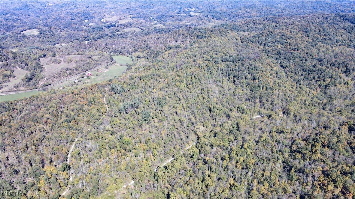 Lot 3 Brooks Road Reno, OH 45773 - Photo 5 of 17 View of property location featuring a forest