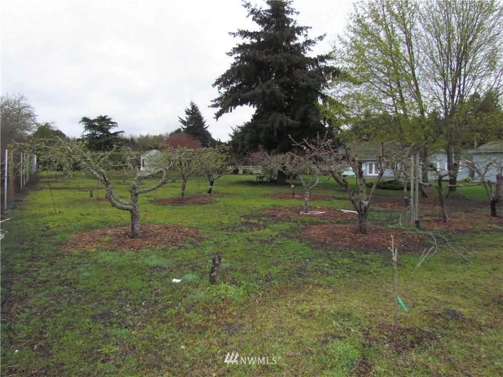 152 Ioka Road Sequim, WA 98382 - Photo 3 of 25 Gallery Image 3