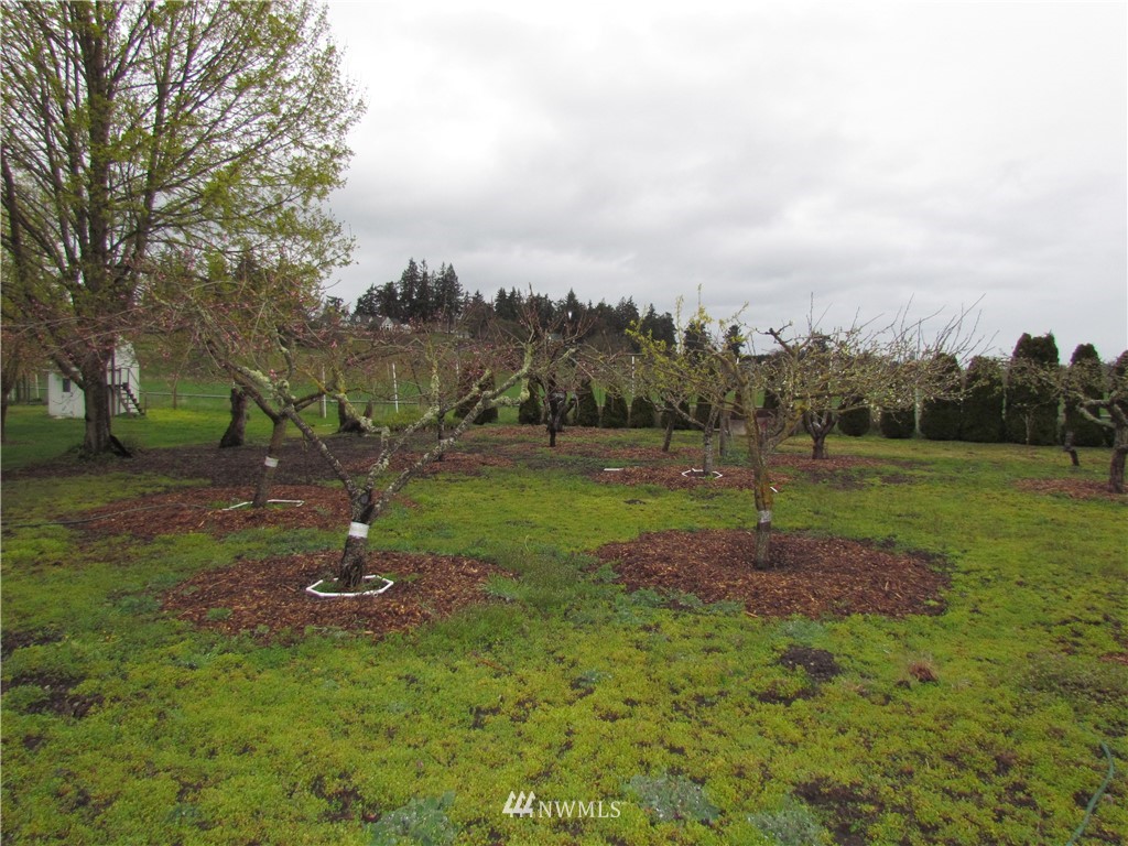 152 Ioka Road Sequim, WA 98382 - Photo 24 of 25 Gallery Image 24