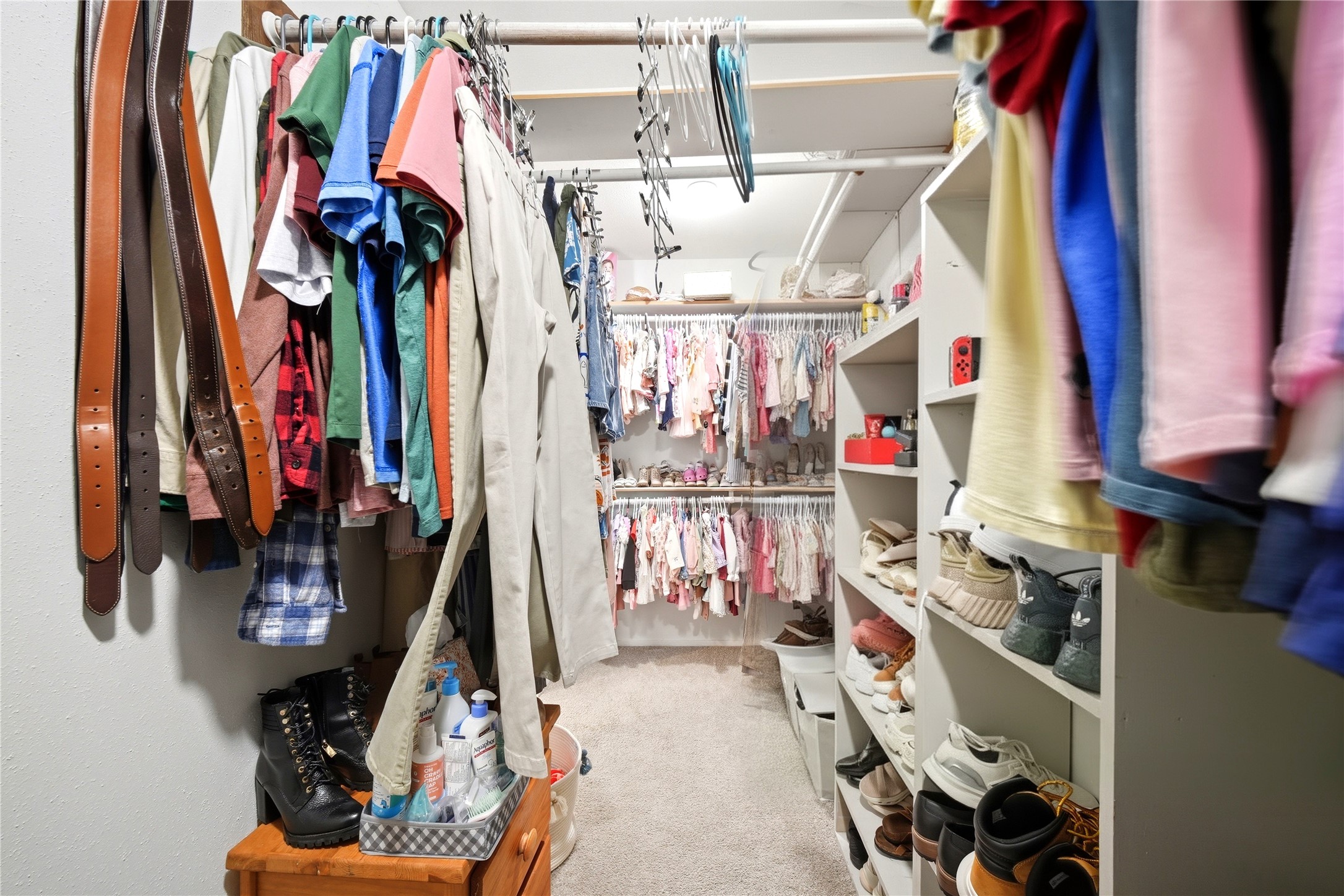 4718 Temple Bell Drive Spring, TX 77388 - Photo 37 of 50 Spacious walk-in closet featuring organized shelving, ample hanging space for clothes, and dedicated areas for shoes and accessories. Carpeted flooring adds comfort and warmth.