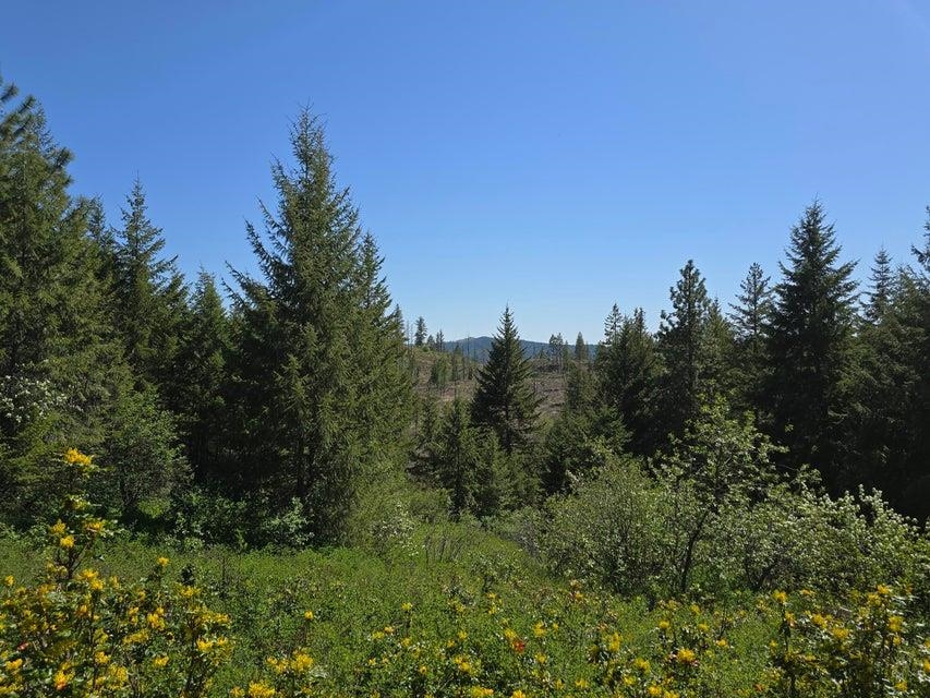 37-xx Hill Loop Road Kettle Falls, WA 99141 - Photo 3 of 13