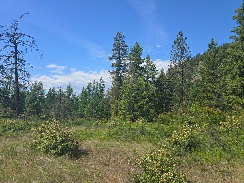 37-xx Hill Loop Road Kettle Falls, WA 99141 - Photo 5 of 13