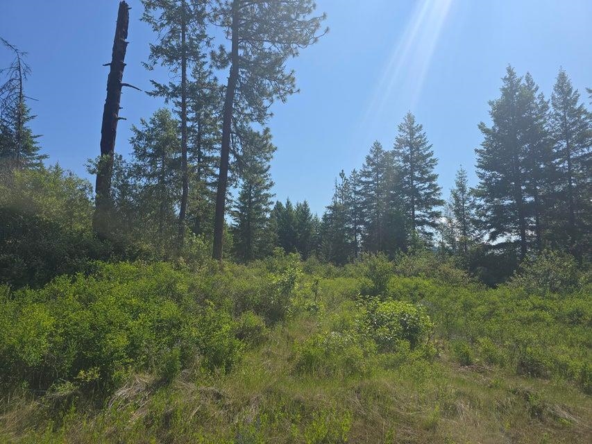 37-xx Hill Loop Road Kettle Falls, WA 99141 - Photo 6 of 13