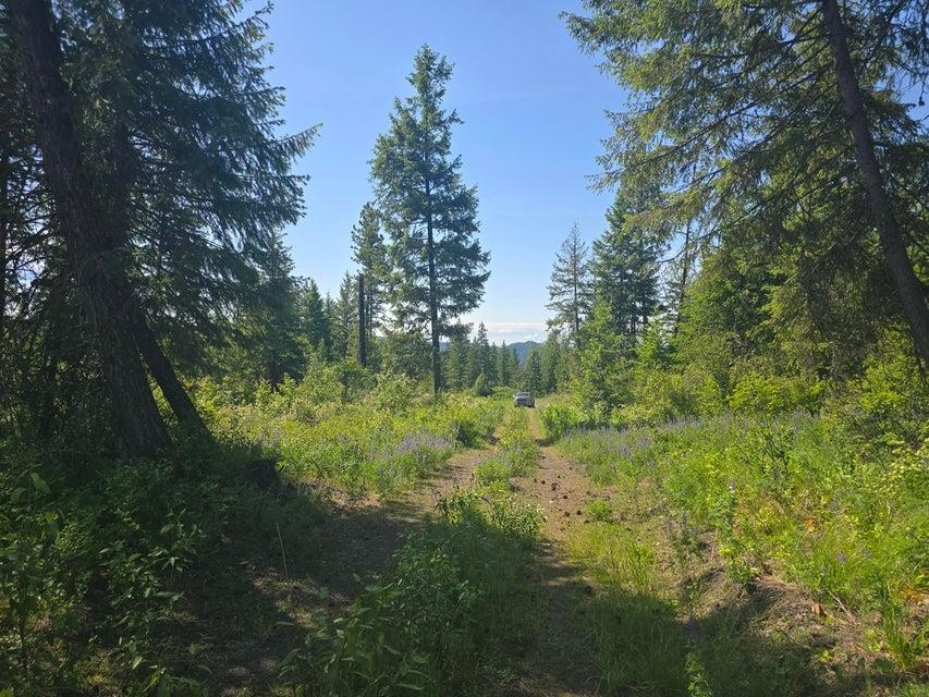 37-xx Hill Loop Road Kettle Falls, WA 99141 - Photo 8 of 13