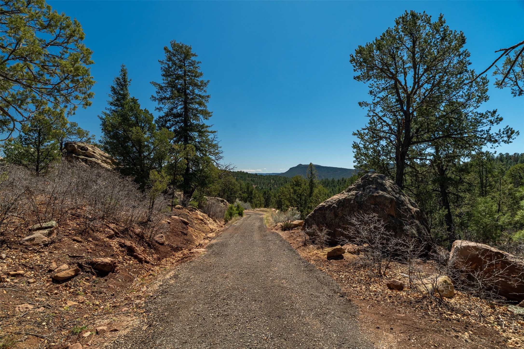 30 Monte La Cueva Road Glorieta, NM 87535 - Photo 47 of 91