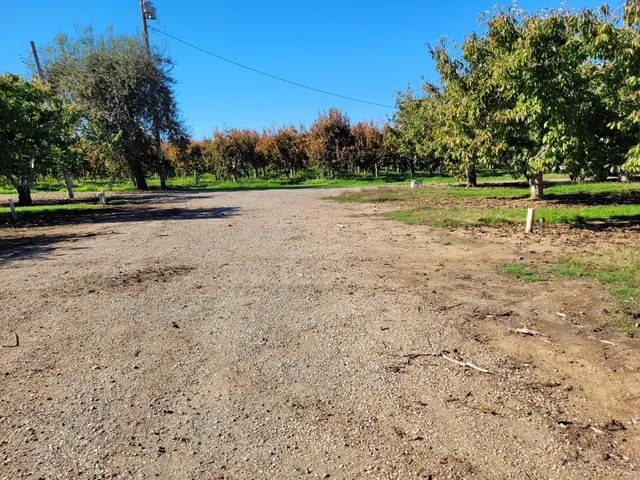 a view of a field with trees