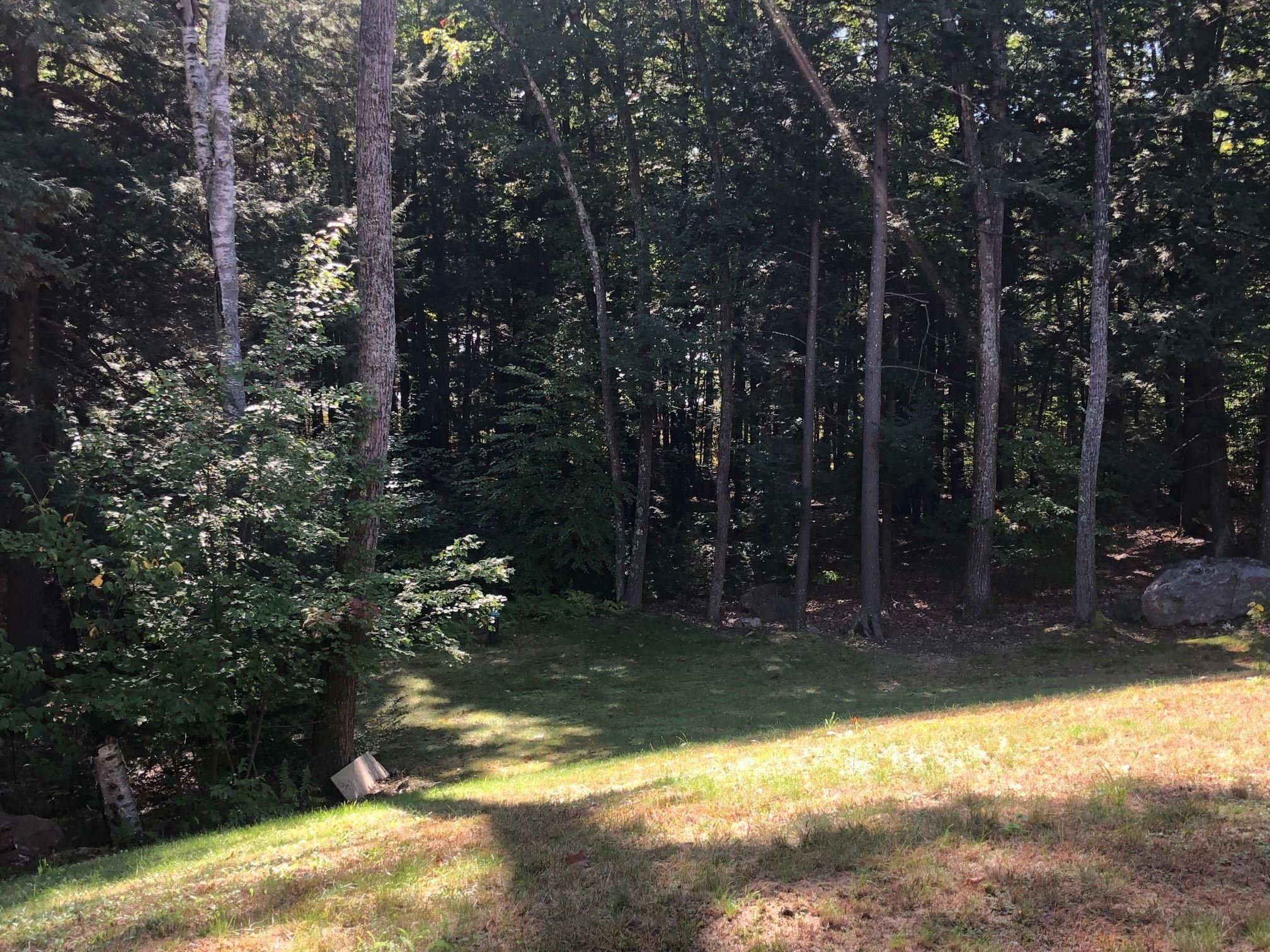 39 Spruce Cove Road Northwood, NH 03261 - Photo 9 of 33 Gallery Image 9