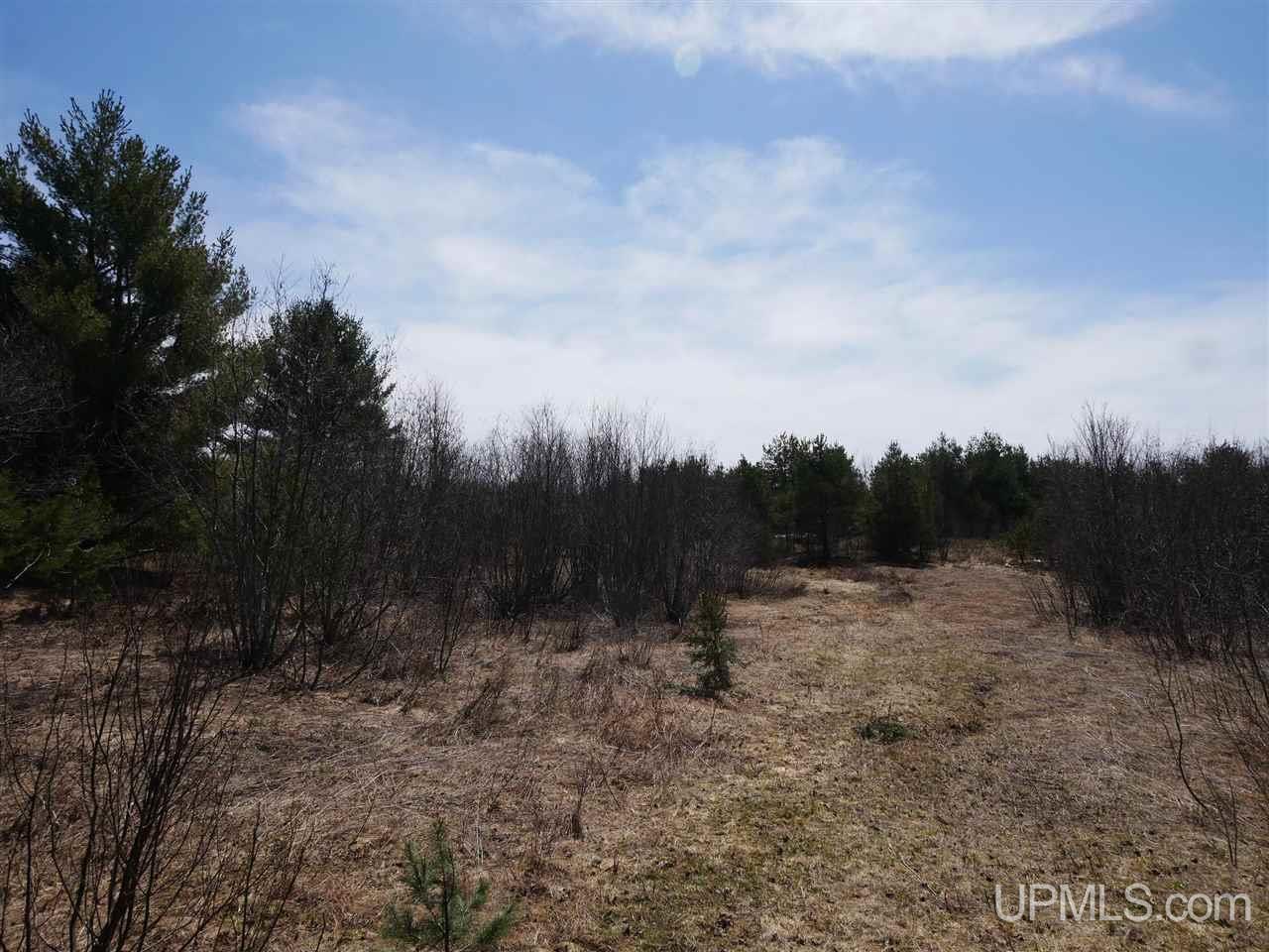 Tbdc Gregoire Road Lake Linden, MI 49945 - Photo 11 of 13 Gallery Image 11