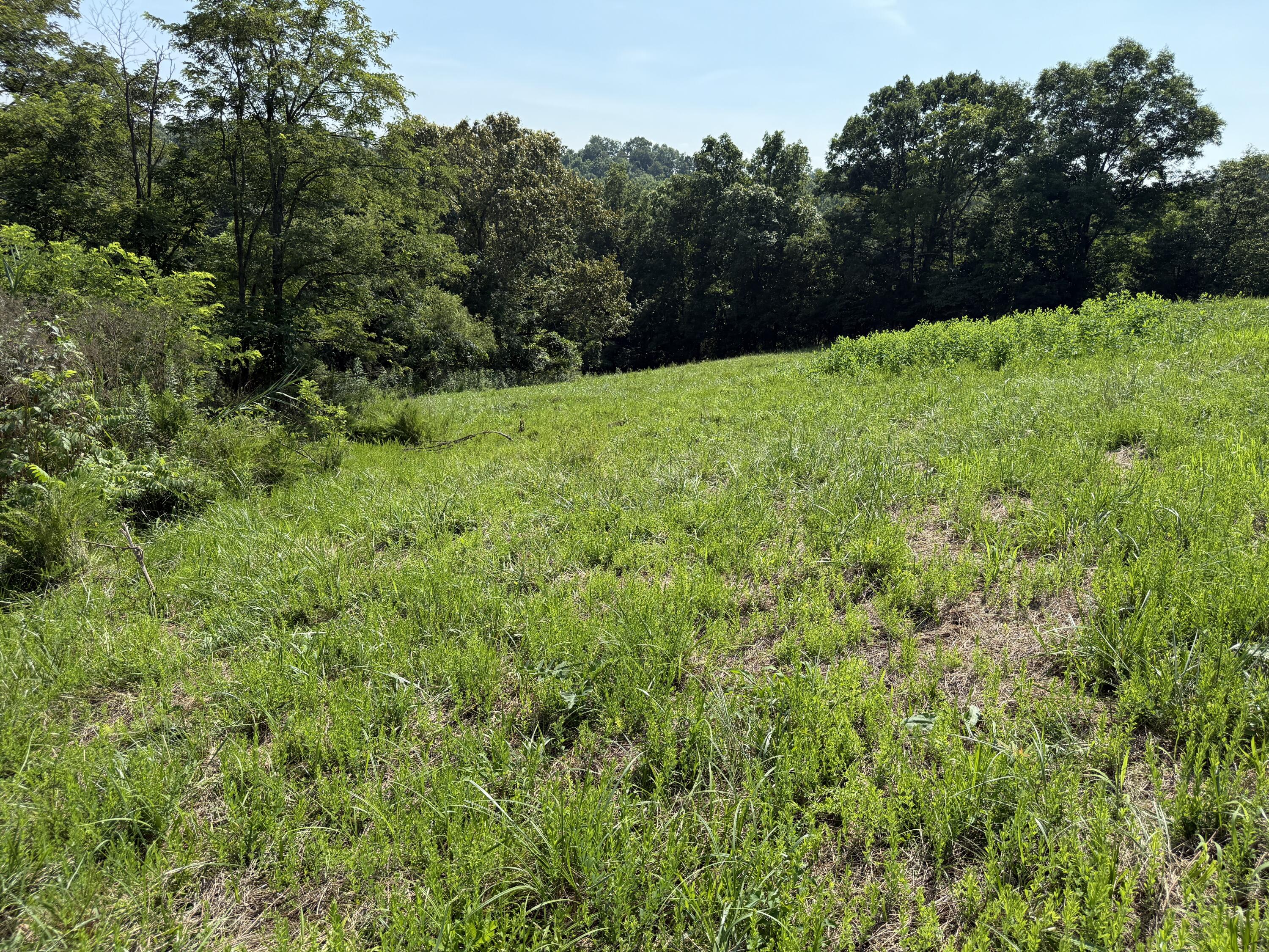 0 Goldsvalley Road Dry Ridge, KY 41035 - Photo 9 of 50
