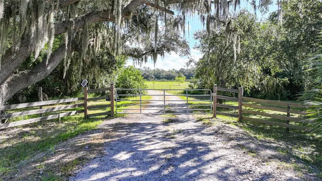 a view of a park with large trees