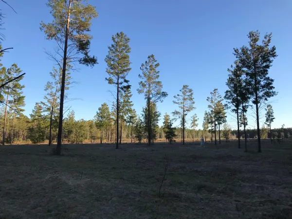 $389,200 | 441 Northeast Mango Avenue, Lee, FL 32059