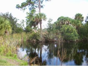 4656 Burkholm Road Mims, FL 32754 - Photo 8 of 12 Additional Photo