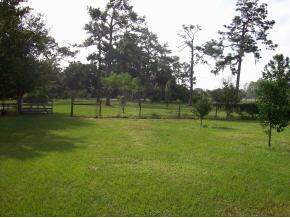 4656 Burkholm Road Mims, FL 32754 - Photo 10 of 12 Additional Photo