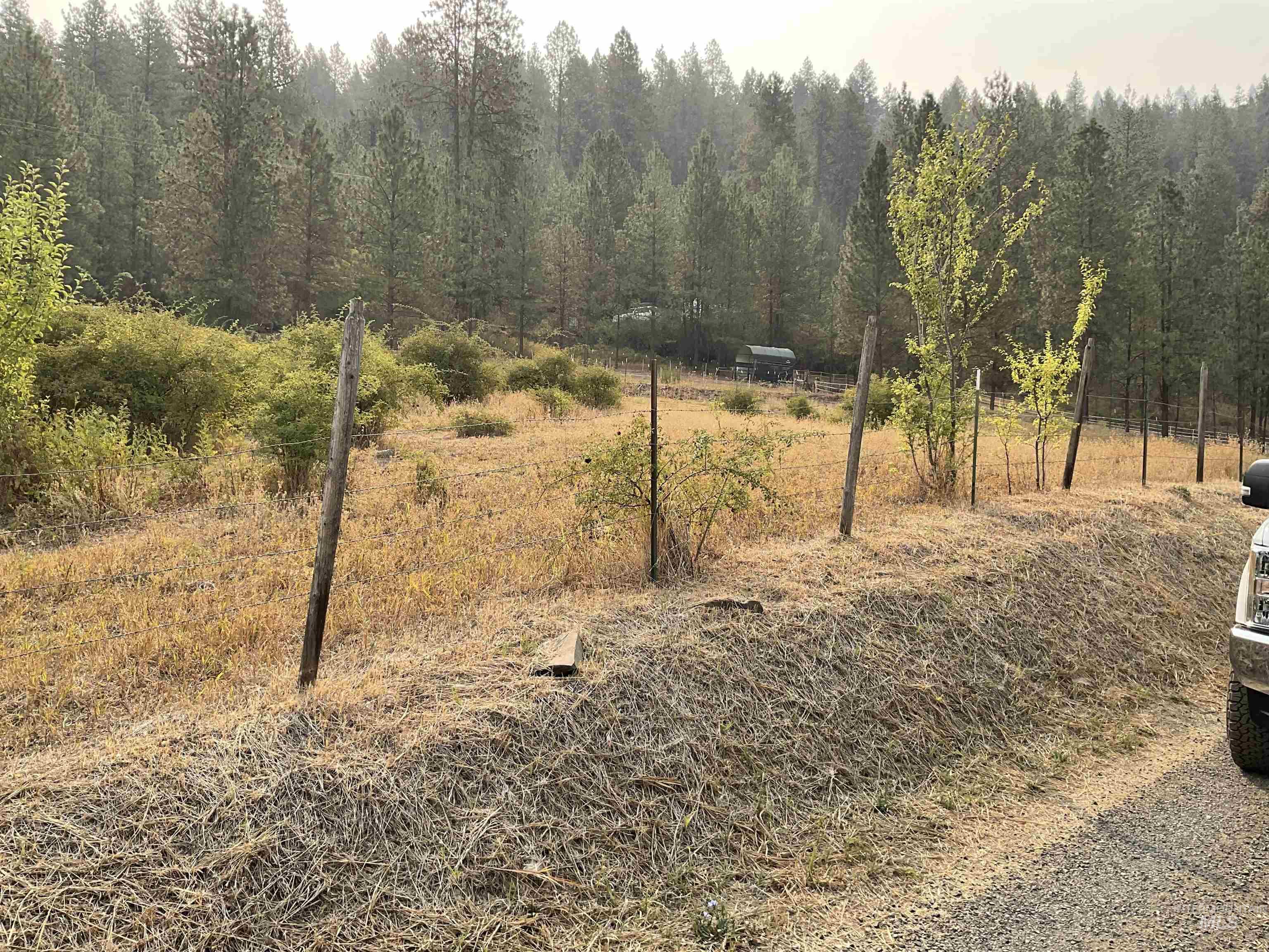 13790 Cross Farm Road Juliaetta, ID 83535 - Photo 20 of 22 View of yard featuring a forest view and a rural view