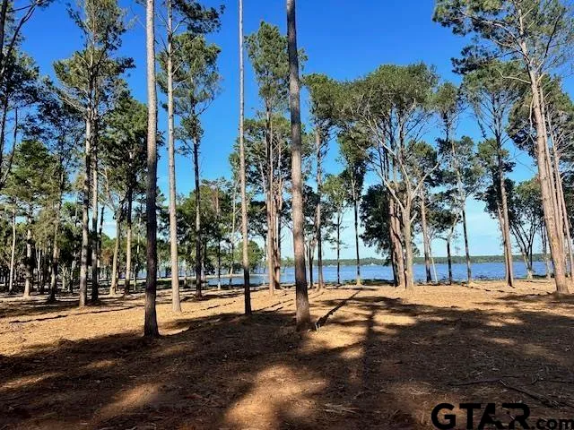 a view of road with trees