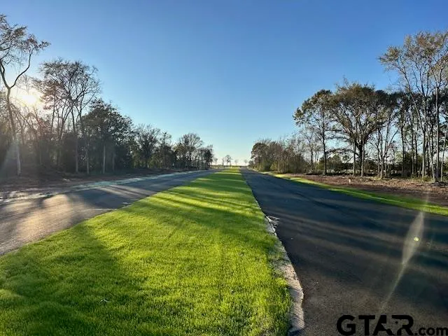 a view of a backyard with green space