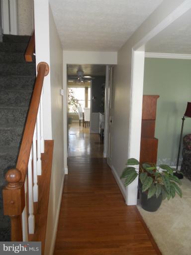 8065 Athena Street Springfield, VA 22153 - Photo 16 of 30 Front Hallway to Sun Room