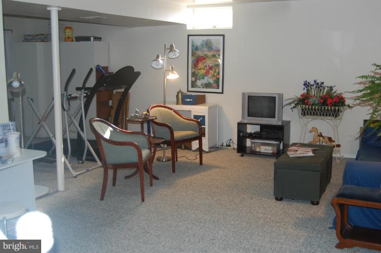 8065 Athena Street Springfield, VA 22153 - Photo 6 of 30 Basement