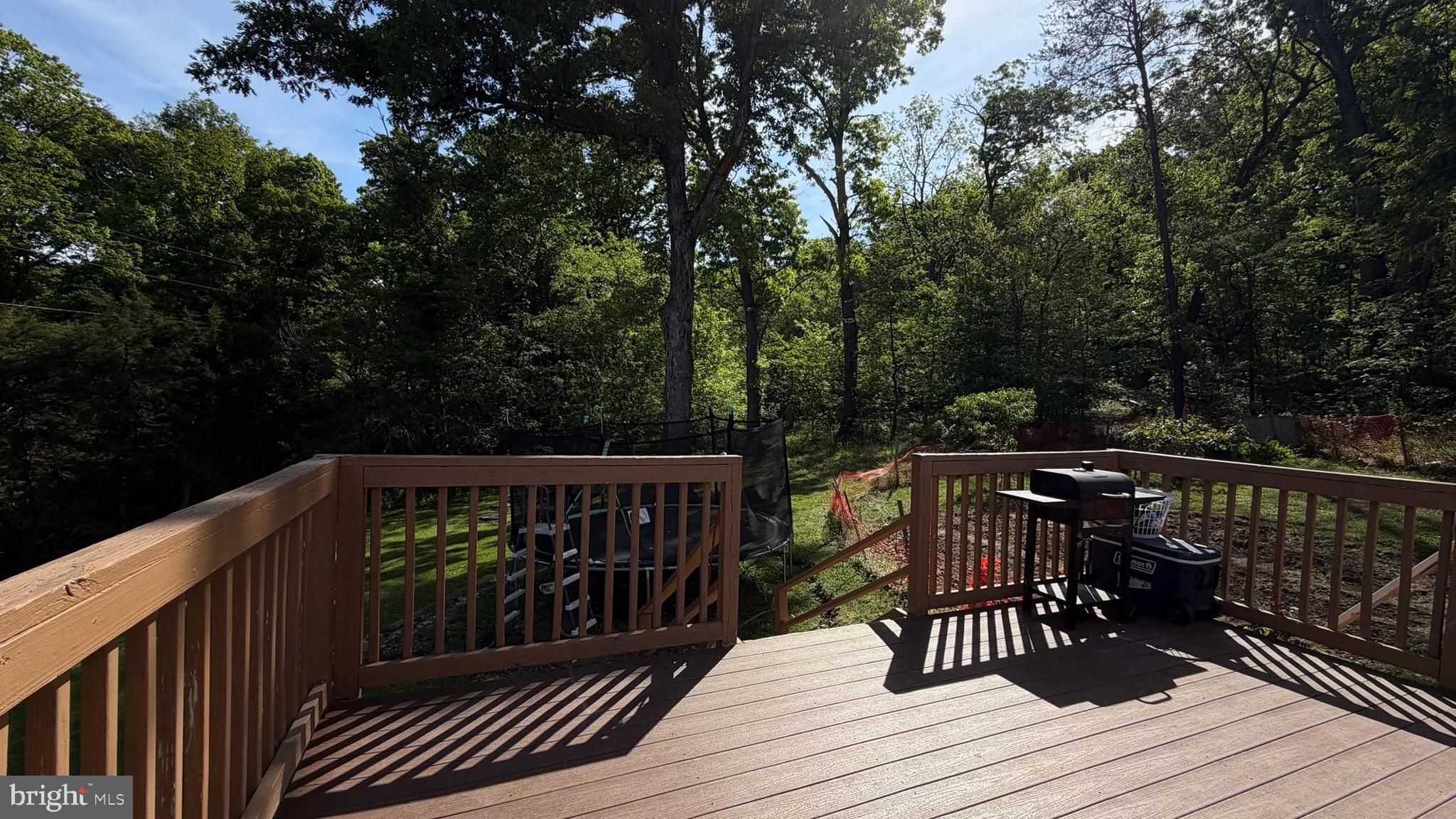 45 Figgins Road Front Royal, VA 22630 - Photo 15 of 17 a view of deck with patio and wooden floor