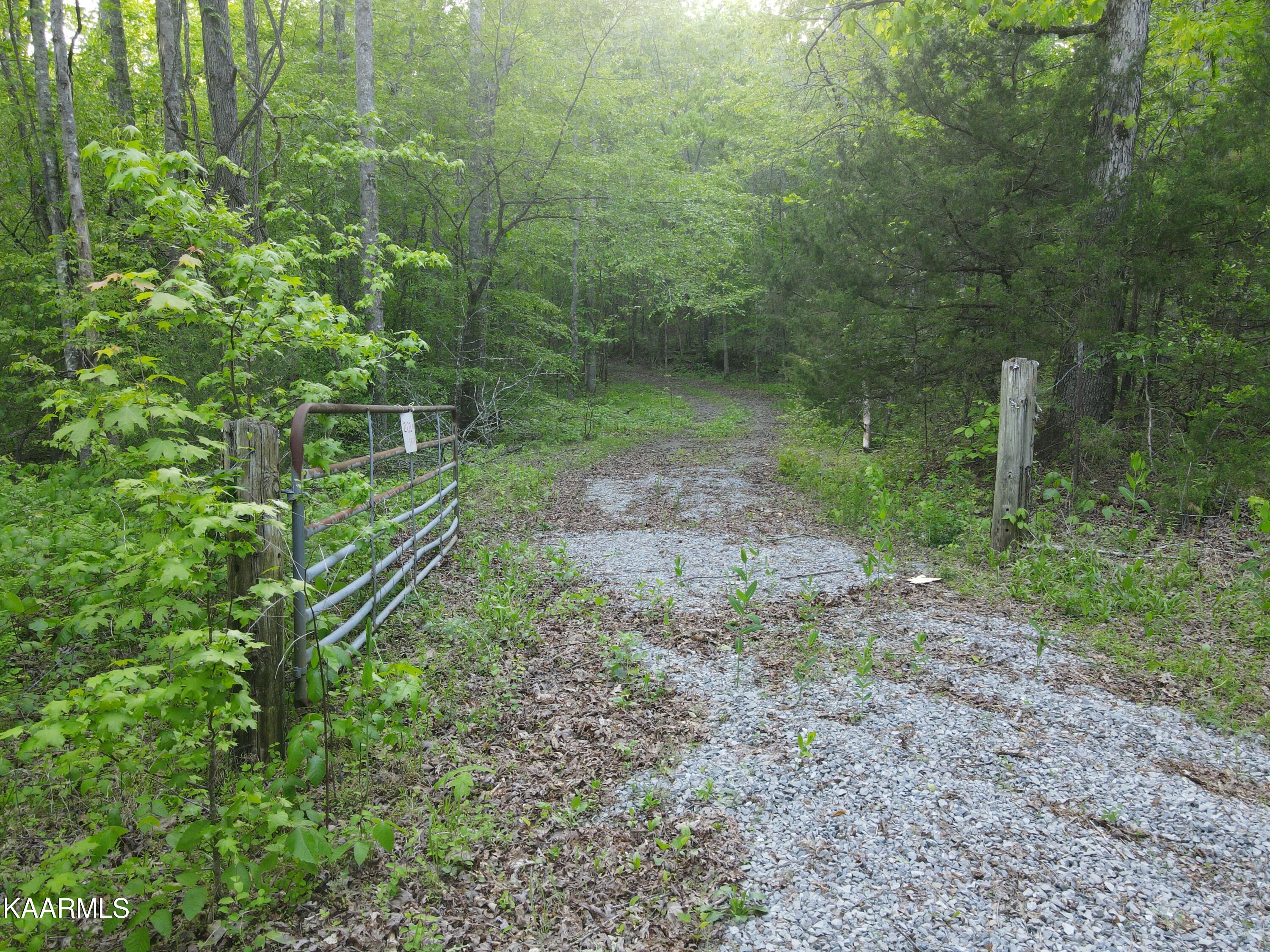 201 Pekoma Road Philadelphia, TN 37846 - Photo 1 of 27 Gate1