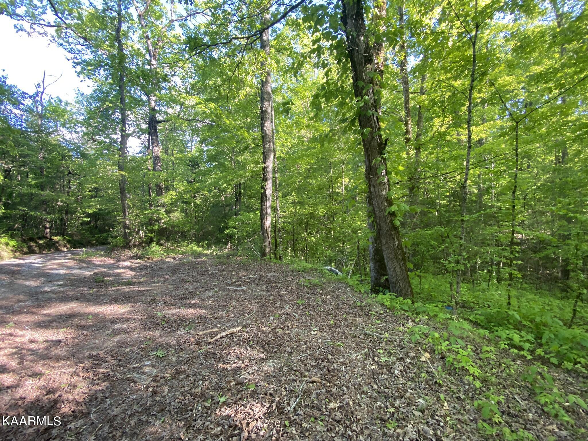 201 Pekoma Road Philadelphia, TN 37846 - Photo 15 of 27 Road2