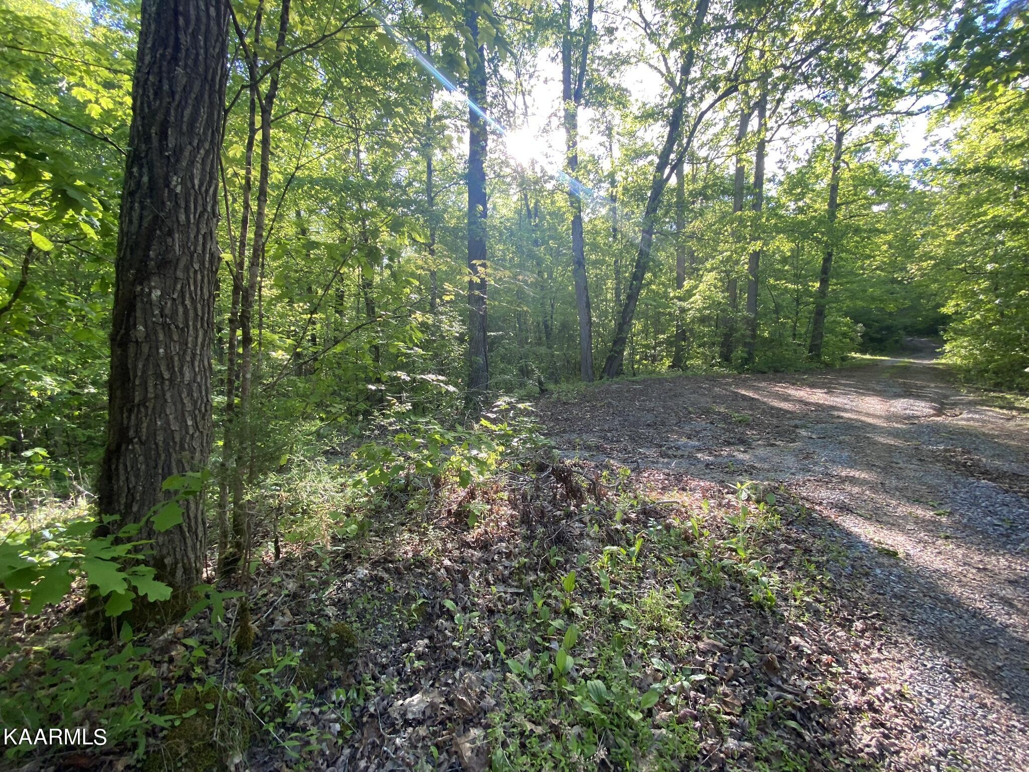 201 Pekoma Road Philadelphia, TN 37846 - Photo 16 of 27 Road3